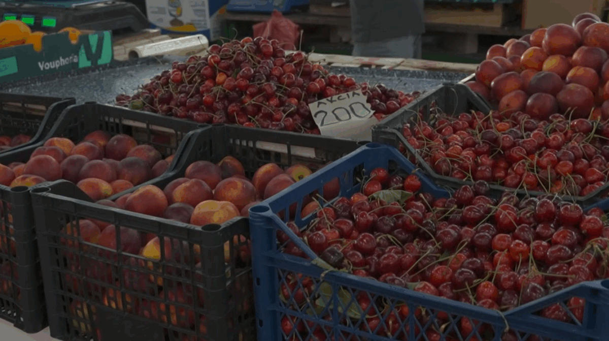 Qeveria thur plan për çmimet e produkteve  Mickoski  Qershitë janë të shtrenjta për shkak të ftohtit