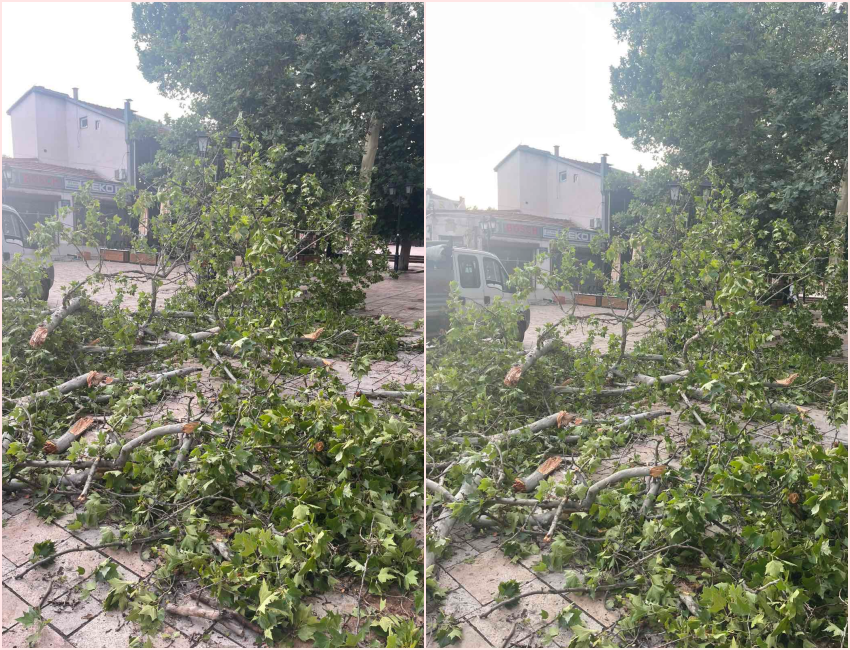 Disa vendbanime pa energji elektrike, rrugë të bllokuara dhe drurë të rrëzuar – disa nga dëmet  nga moti i ligë në Maqedoni /VIDEO