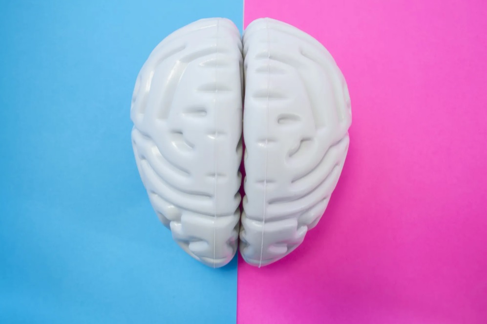 sheqeri-i-fshehur-ne-ushqime-ja-si-ta-dalloni-dhe-ta-shmangni-ne-menyre-qe-ta-qetesoni-sistemin-nervor