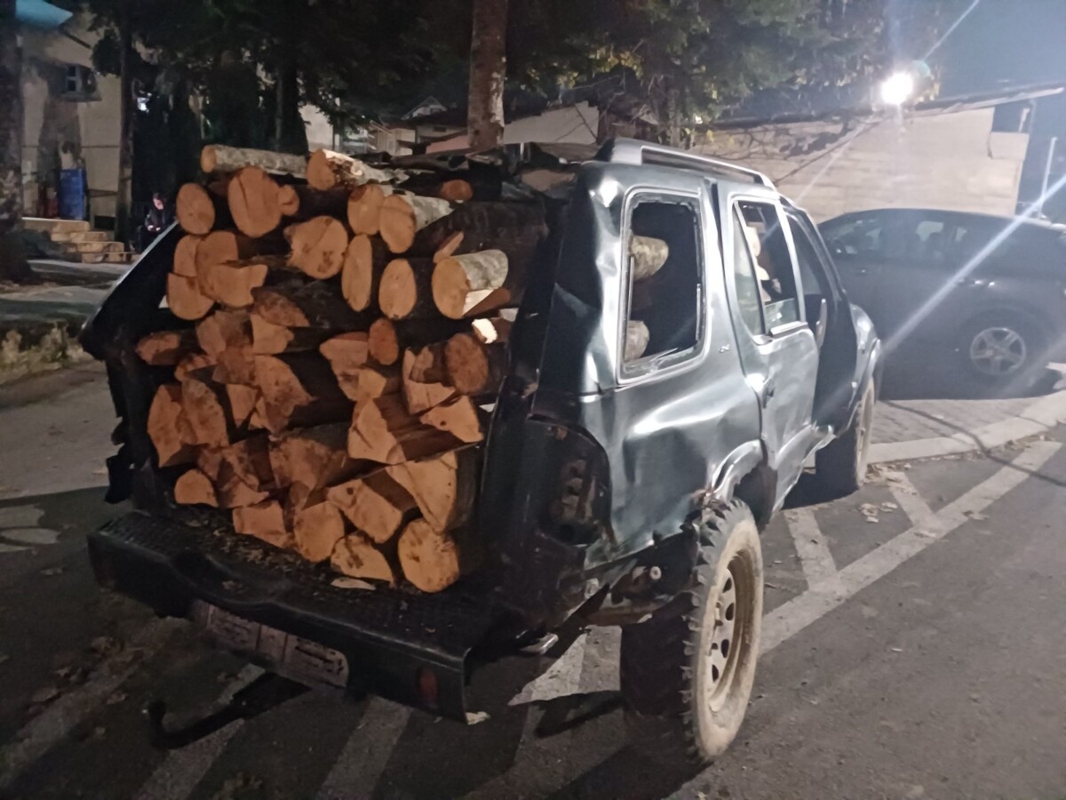 Vetura pa dyer e pa xhama  e mbushur me dru  Arrestohen dy persona të dyshuar për vjedhje të druve