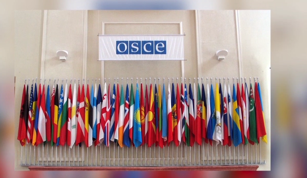 zgjedhjet-lokale-osbe-odihr-me-disa-verejtje