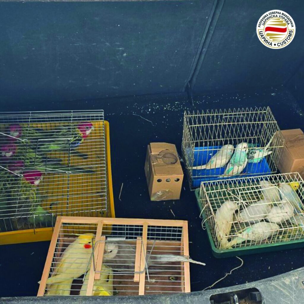 “Parfume, celularë e kafshë shtëpiake!”, Dogana: Është parandaluar edhe kontrabanda e 2.3 tonëve banane