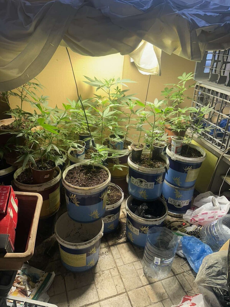 bastisje-ne-shkup-zbulohet-laboratori-i-droges