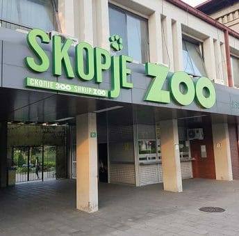 shkupi-shenon-nje-shekull-te-kopshtit-zoologjik-tregime-per-kafshet-happening-muzikor-argetim-per-me-te-vegjlit