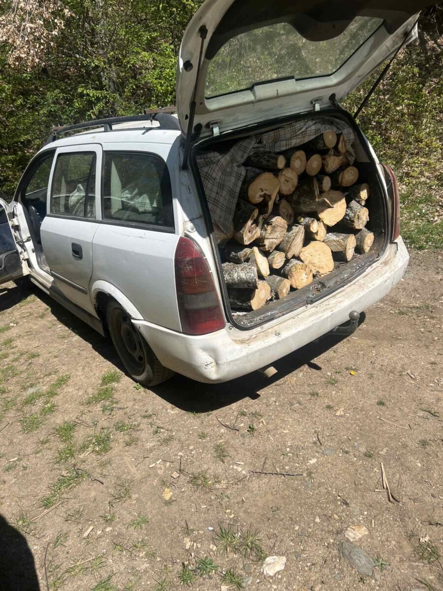 Arrestohet 26 vjeçari  po transportonte dru pa vulë dhe dokumentacion të nevojshëm