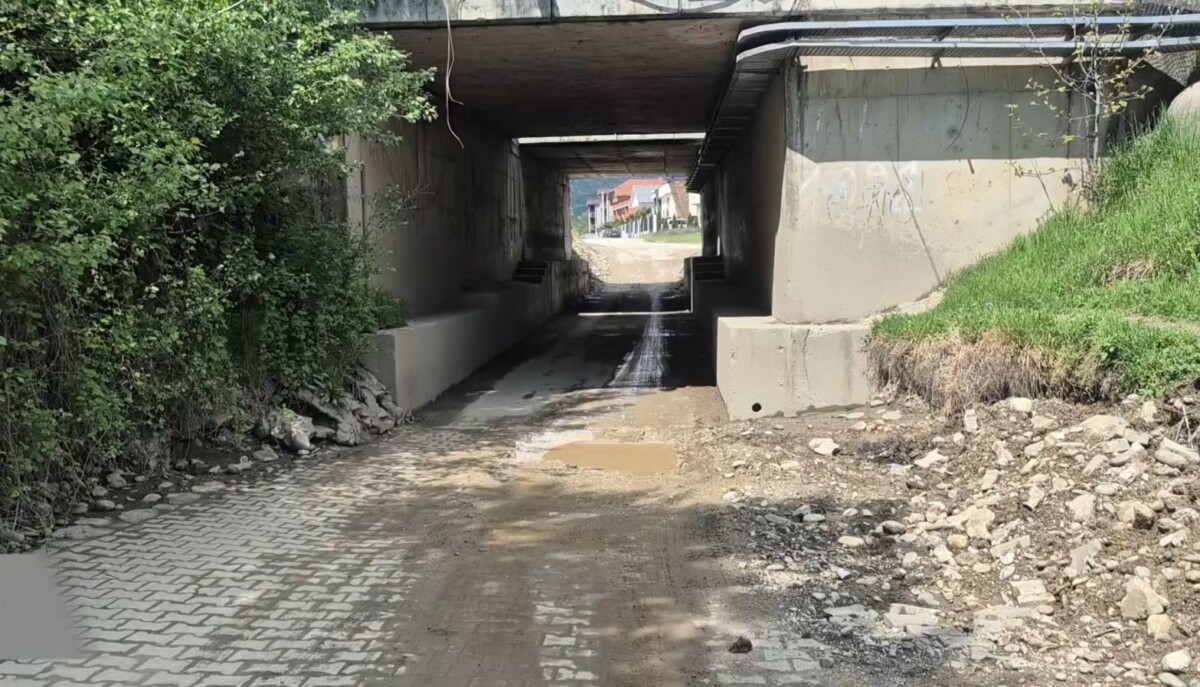 nisin-punimet-ne-nenkalimet-e-lagjes-dardania-ne-tetove-banoret-presin-qe-punet-mos-te-sterzgjaten-gjate-gjithe-veres