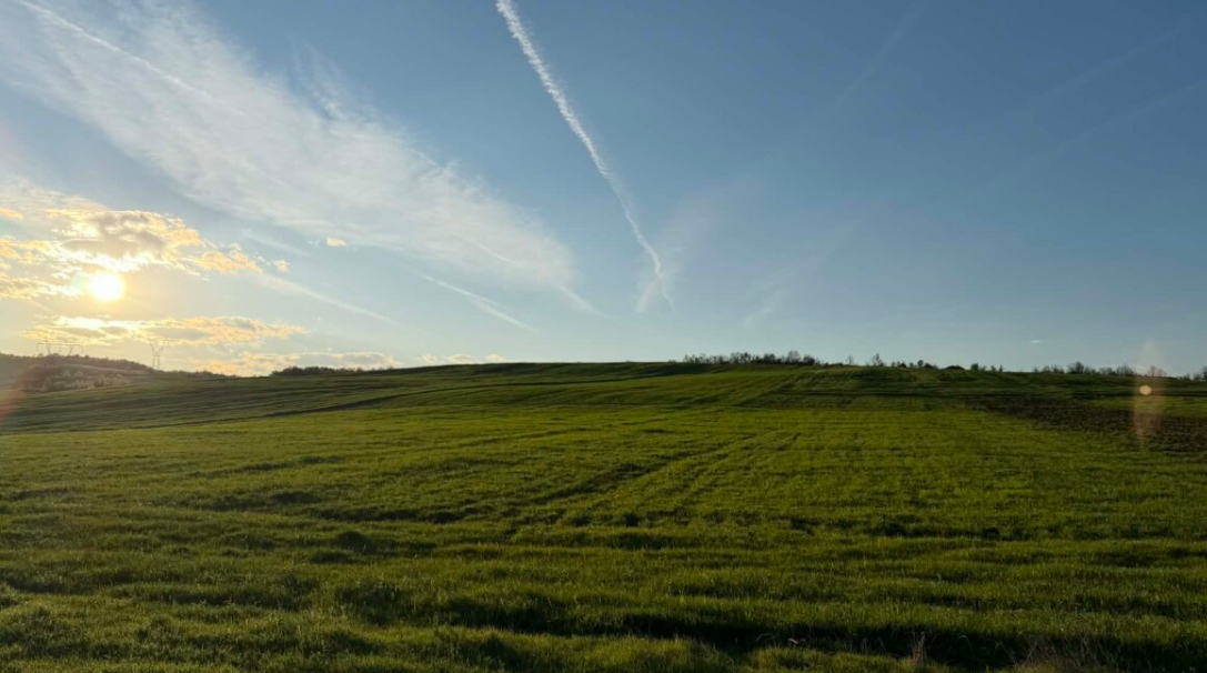 Parashikimi i motit për ditën e sotme