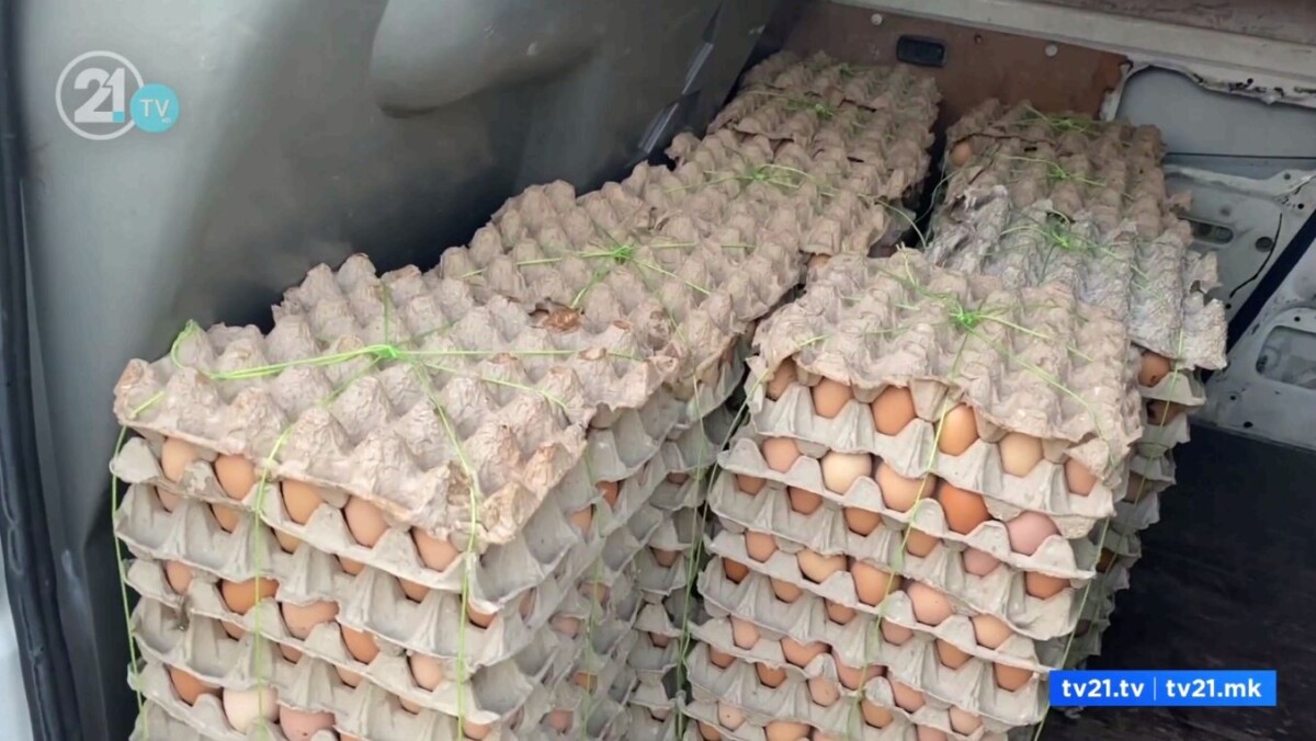 Qeveria do të  godasë  shtrenjtimin e vezëve  Po  shtyhet  me OKTA n edhe për 1 denar zbritje te karburantet