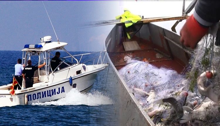 Katër shtetas të Shqipërisë janë ndaluar për peshkim të paligjshëm në Liqenin e Prespës