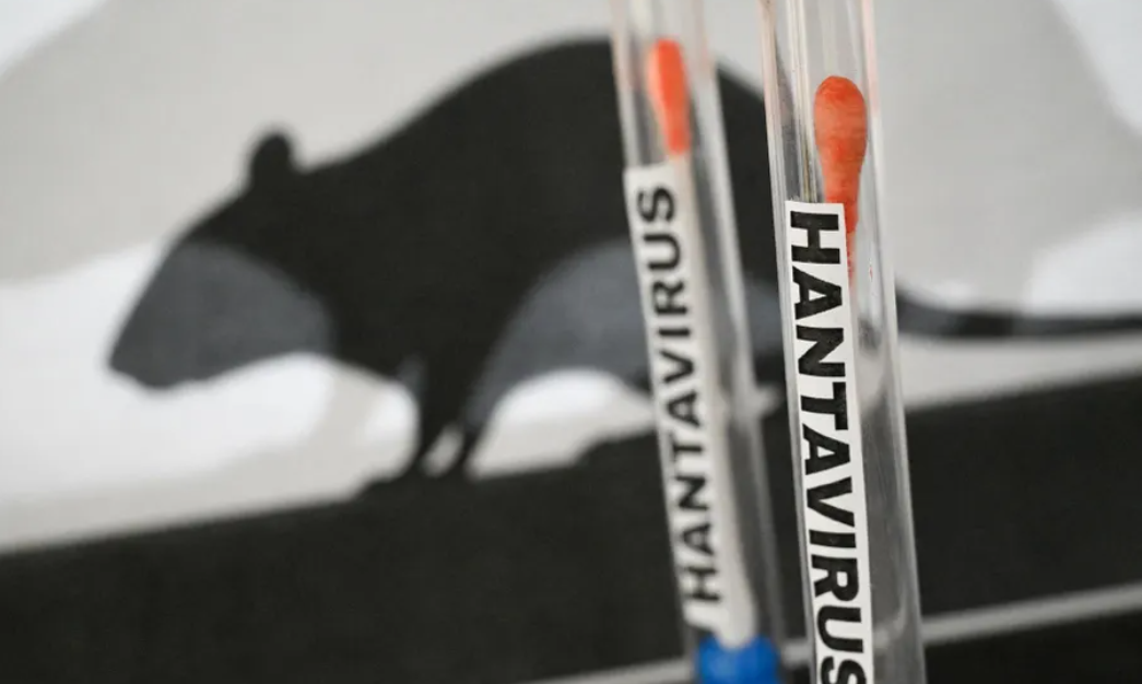 Hantavirusi alarmon botën  OBSH qetëson  Rreziku mbetet i ulët