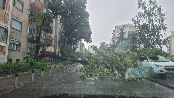 Përplasje BDI komuna e Çairit për dëmet nga përmbytjet  Opozita kërkon kompensim  komuna thotë se procedurat kanë nisur