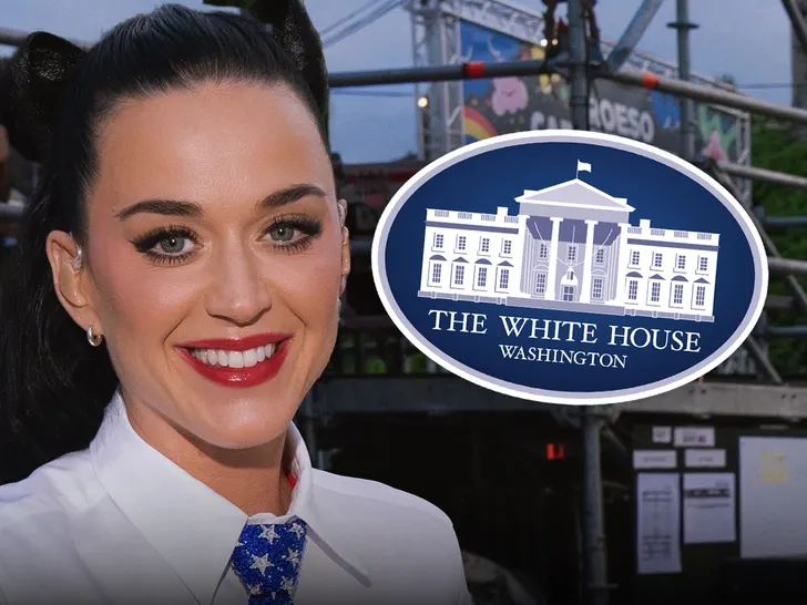katy-perry-shperthen-ndaj-shtepise-se-bardhe-mos-e-perdorni-muziken-time-per-lufte