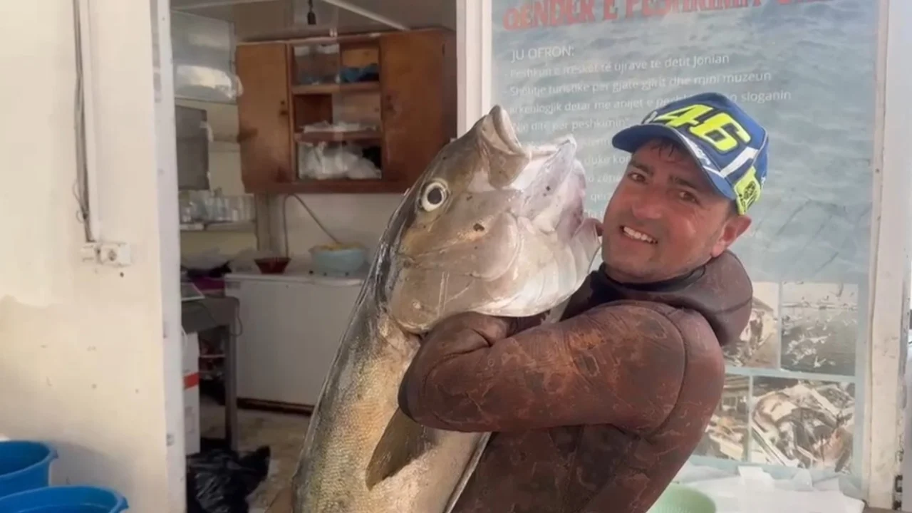Kapet peshku 27 kg në ujërat e Vlorës  peshkatari  luftoi  30 minuta për ta nxjerrë nga deti