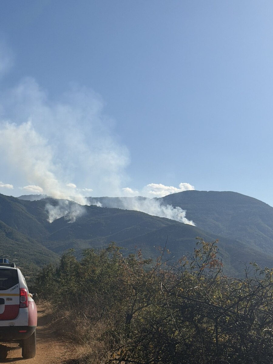 Zjarri mbi fshatin Vërzhallë  ekipet në terren nesër planifikohet ndërhyrje ajrore