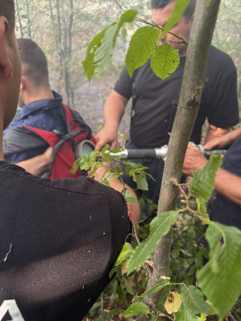Zjarri mbi fshatin Vërzhallë, ekipet në terren-nesër planifikohet ndërhyrje ajrore
