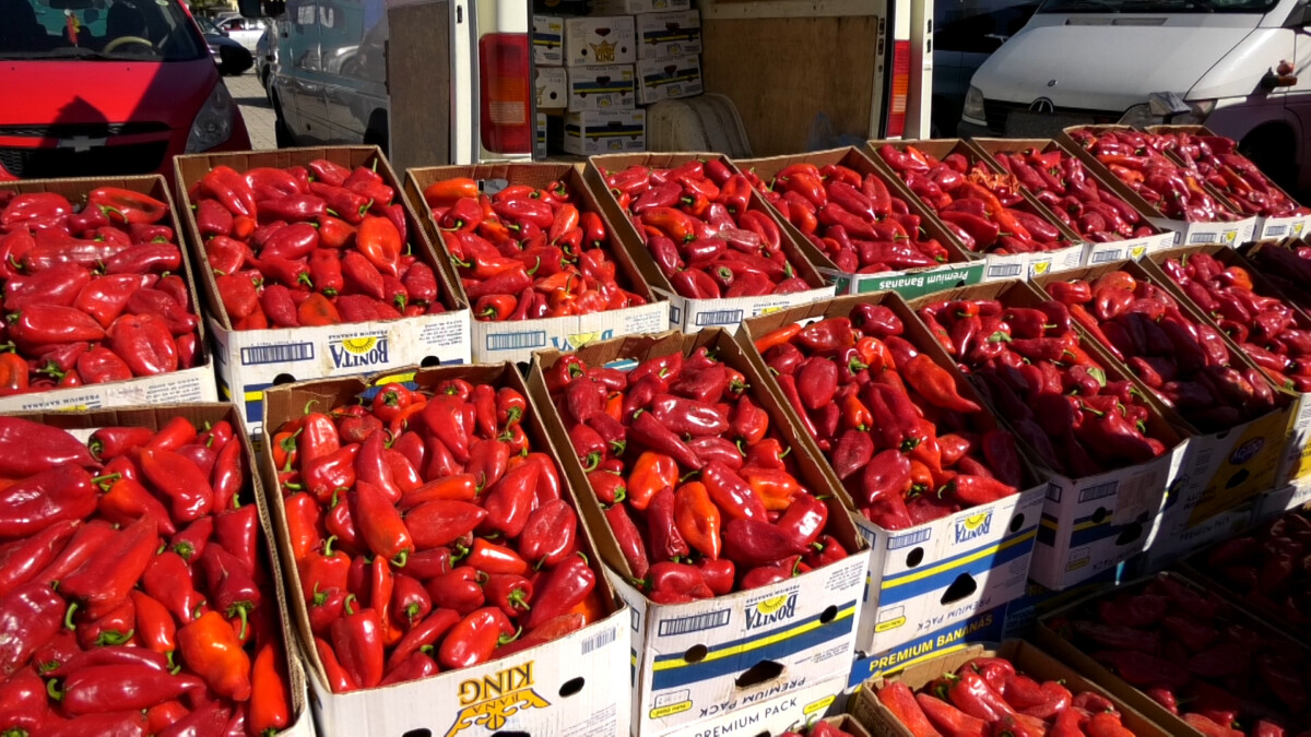 arrihet-marreveshje-per-cmimin-e-specit-te-ajvarit-40-den-kg-per-klasin-e-pare-30-denare-per-klasin-e-pare-dyte