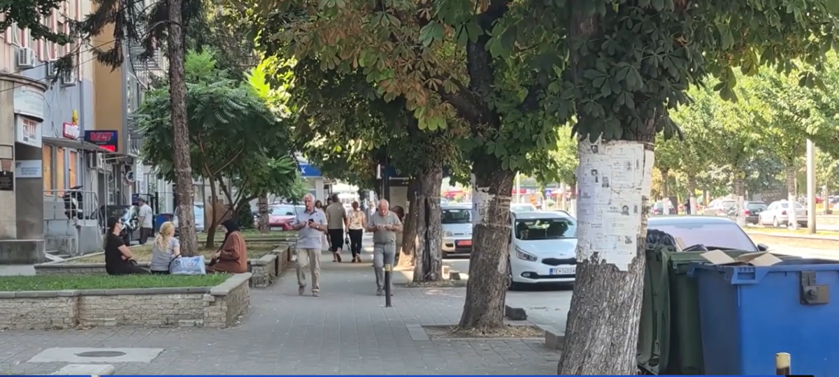 Ethet e Nilit alarmojnë Pollogun  Komunat dezinsektojnë me vonesë dhe pa koordinim