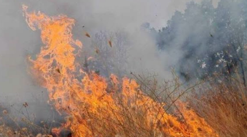 Dy persona të arrestuar nën dyshimin për shkaktimin e zjarreve në Makedonski Brod dhe Dollnen