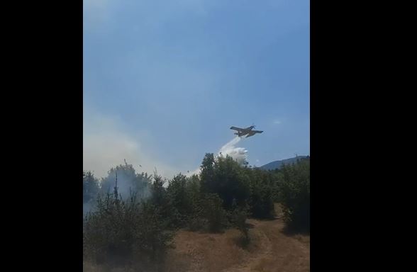 Tre avionë ndërhyjnë për shuarjen e zjarrit pyjor në Moranë
