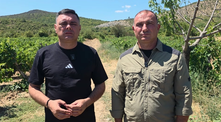 Një zjarr aktiv dhe katër të shuar në hapësira të hapura  Angellov  Zjarri më i rënd në komunën e Kavadarit