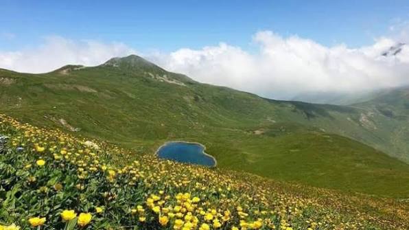 Ndalimi i lëvizjes në pyje zgjatet deri më 30 shtator  për shkak të rrezikut të shtuar nga zjarret