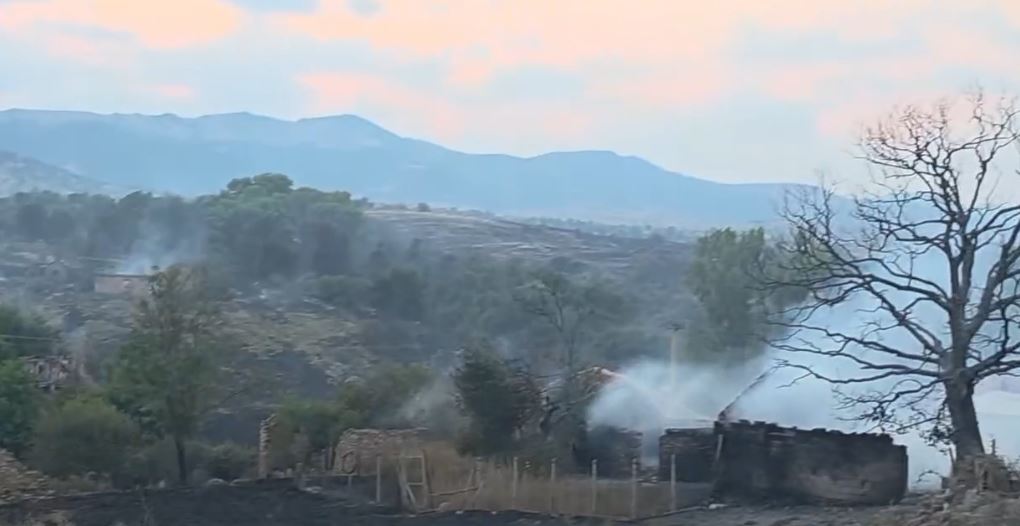 29 zjarre në 24 orët e fundit  6 ende aktive  Angellov  Situatë serioze në Çanishte dhe Jegunovcë