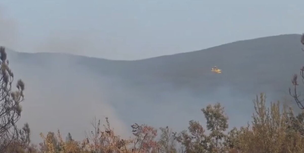 Zjarret në vend nuk ndalen  vatra të reja në disa rajone  Angellov  Mbi 41 zjarre në një ditë  situata mbetet alarmante