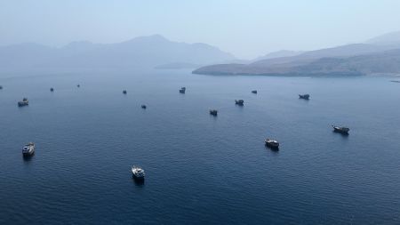 Operacion i madh amerikan në Hormuz  40 anije kalojnë nën eskortë ushtarake