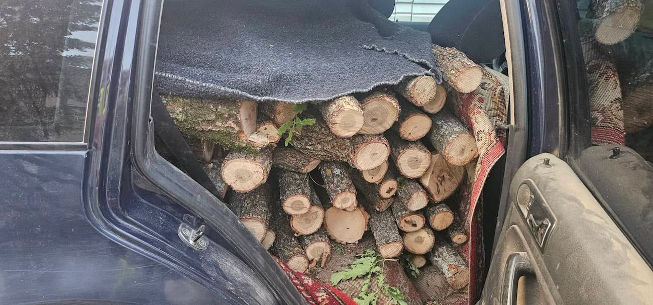 arrestohet-29-vjecari-ne-zheline-ne-veture-iu-gjeten-dru-pa-dokumentacion