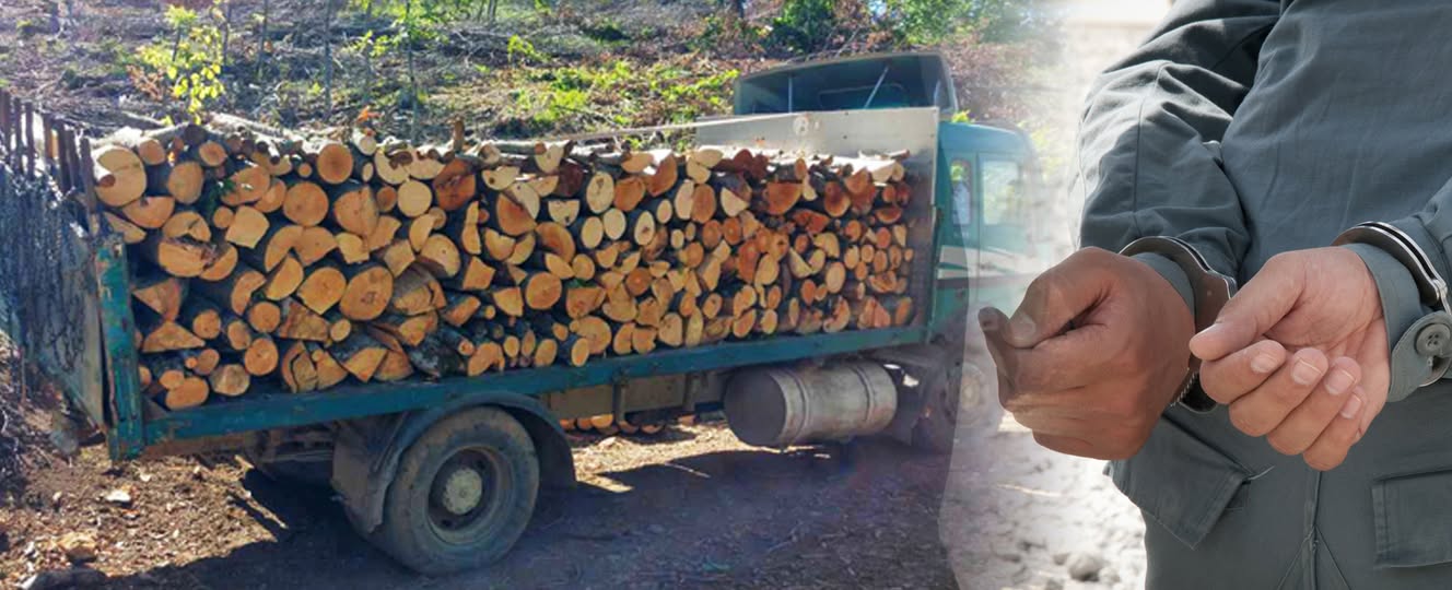 Arrestohen dy persona  kapen me dru të pavulosur