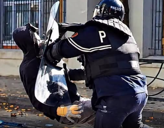 ia-perplasi-koken-polici-i-riu-humb-kujtesen-dhe-demtoi-vertebrat